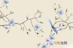 2023金箔金命为什么叫水兔 山林之兔喜欢随遇而安