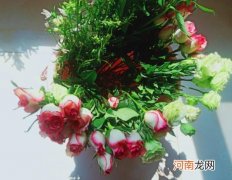 醒花要把防护网拿掉吗？醒花要把花朵一起泡水里吗