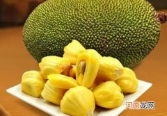 菠萝蜜种子泡了7天还没发芽是怎么回事？为什么菠萝蜜树不砍不结果