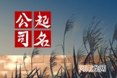2023年最新公司起名 新颖公司名字大全