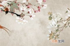 明年是水兔子为什么不好 明年是水兔年好不好