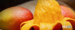 百色芒果品种 百色芒果有哪些品种