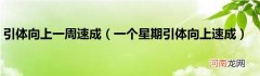 一个星期引体向上速成  引体向上一周速成