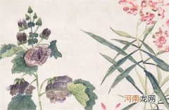 高端有内涵的金融公司名字 最旺金融企业的取名