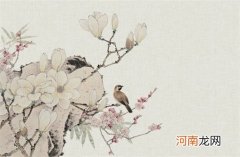 维修方面的公司怎么起名最吉利旺财的公司名字