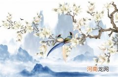 大气的体育公司名字 时尚潮流的企业名称