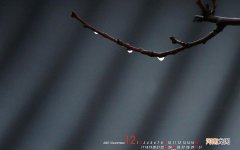 银耳红枣汤做法教程 白木耳红枣汤的做法