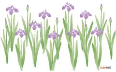 自贡十大凉菜 2021特色凉菜