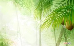 凡士林涂脸的正确方法 维生素e按摩去黑头
