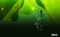 N29奶蓟草护肝片成分安全吗，会有副作用吗 无糖护肝片有什么牌子