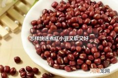 怎样快速煮红小豆又软又好 红小豆可以和什么搭配一起煮