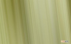 海南省有椰子蟹吗 螃蟹可以和椰子一起吃吗