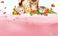 猪腰木瓜汤做法大全 木瓜健脾祛湿汤