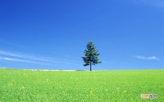 每年冬天的流感病毒究竟是从哪来的？它们夏天的时候都在哪 冬天流行性的传