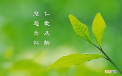 脸上红色的痘痘是怎么回事 为什么脸上有痘痘一片红