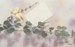 鱼跃血糖仪稳定吗 三诺与鱼跃血糖仪哪个准确