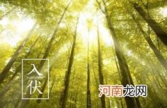 2022年入伏是几月几号几点几分