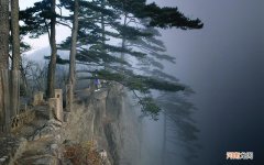 “小汤山”“火神山”“雷神山”这种医院疫情过后是否应该保留，并推广为今