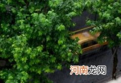 2022年下半年雨水多不多