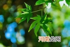 2022年下半年会干旱吗