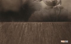 七夕情人节、5月20日情人节、2月14日情人节，这么多情人节，你们觉得意义何在