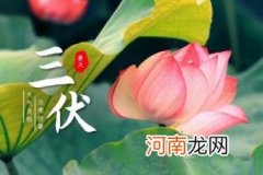 2022年三伏天过了就不热了吗