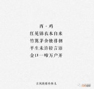 马边徘徊打一生肖 鼠边马边是什么生肖