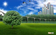 每天 早晨 空腹 喝 蜂蜜水 好 吗 ? - 99 健康 问问 每天早上喝蜂蜜水有什么效果
