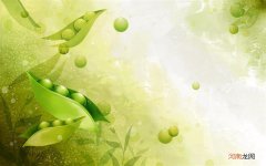 电子商务专业，应该掌握哪些专业知识呢 专业知识包括哪些内容