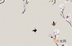 2023本命年适合跳槽吗 财运运势好吗