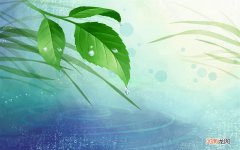 姨妈期间吃什么水果 生理期可以吃柚子吗