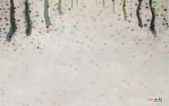 疼 ! 弄 了 跖疣 起 了 水泡 敢不敢 挑破 ? - 99 健康 问问 跖疣初期小水泡图片