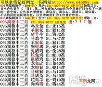 煅猜一生肖