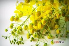 四本宇宙冒险小说推荐 宇宙冒险小说排行榜分享