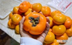 柿子有没有营养 柿子有没有营养?