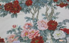 “参苓白术散”是不是印错了 参苓白术散效果怎么样