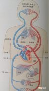 如何能够缓解宝宝便秘 孩子便秘怎么办