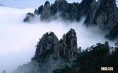 玉竹煲汤一次用量多少 中药常用普通剂量
