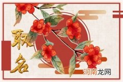 2023年小吃店铺取名字 简单旺财名字分享