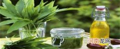 橄榄油跟菜子油的区别