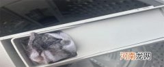 洗衣机洗出来的衣服常沾有毛絮是什么原因