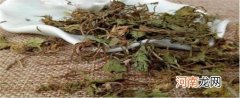 积雪草有减肥功效吗