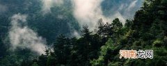 大别山海拔最高是多少米