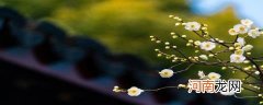 晚春指的是几月份
