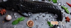 黑鱼属于海鲜吗