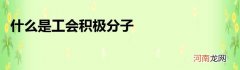 什么是工会积极分子