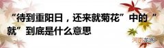 “待到重阳日，还来就菊花”中的“就”到底是什么意思