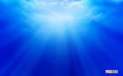 七夕情人节送老公霸气句子 过情人节给老公送花怎么说