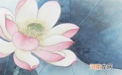 2023年1月15日出生女宝宝五行缺什么,八字高分起名字