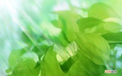 300元在天津丽水湖洗浴能干什么?请尽量具体，谢谢 丽水纽斯SPA